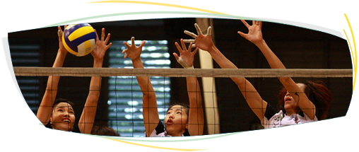 Spor Akademisi - Voleybol